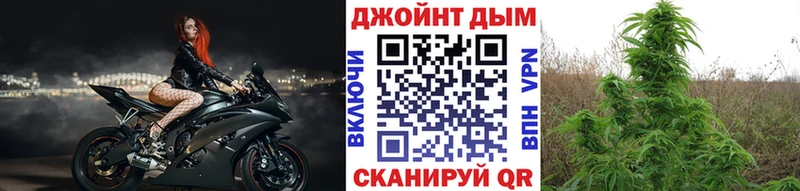 Купить закладки  Новая Ляля  Каннабис Bruce Banner 